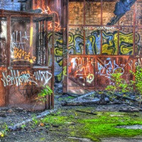 Foto: Thomas Düntsch