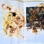 Künstler/in: Abuzze von Schandel, Foto: Diana Stegemann